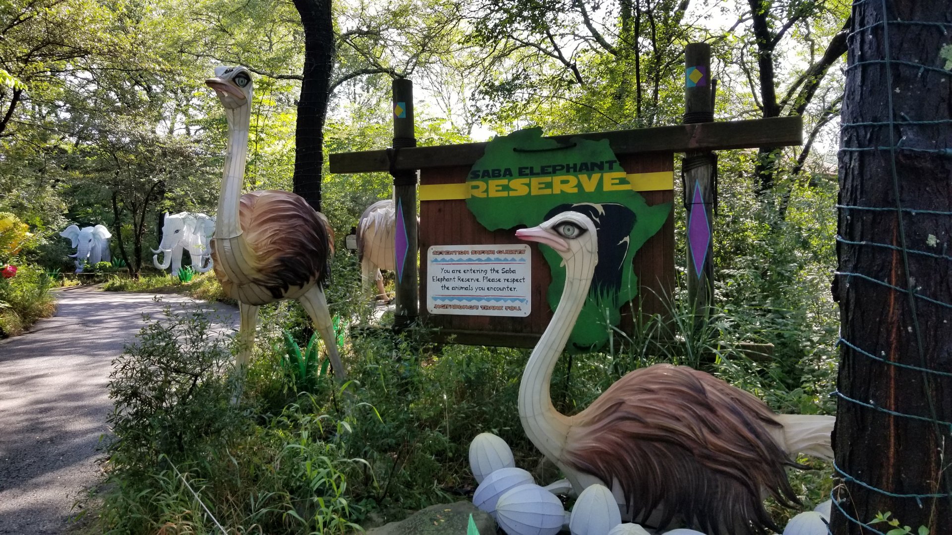 Pittsburgh 8/21 - Ostriches