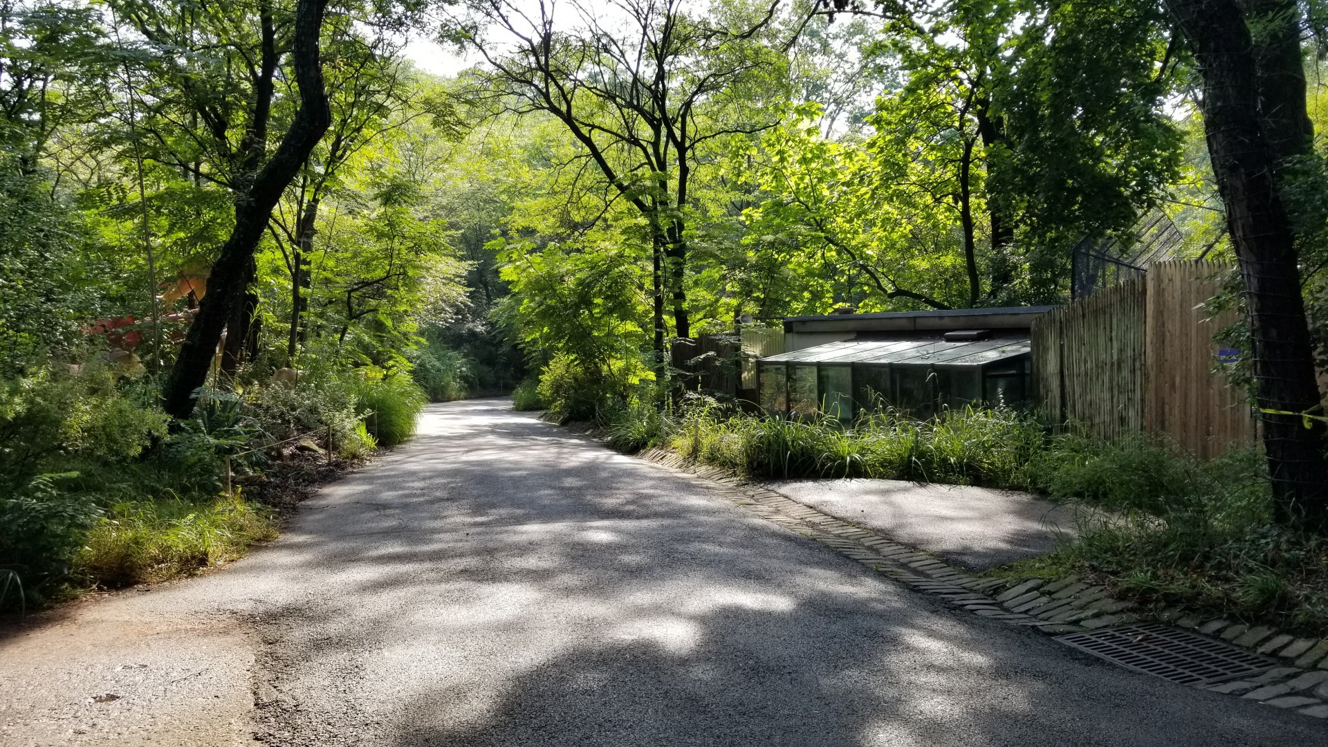 Pittsburgh 8/21 - Path, flamingo winter holding on right