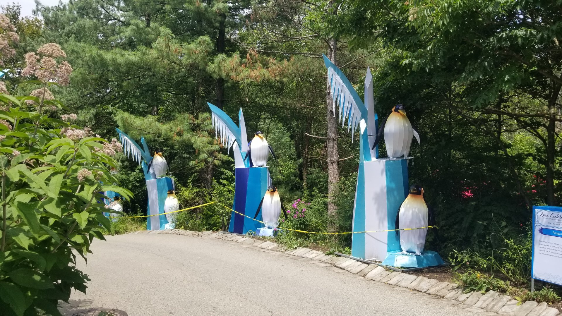 Pittsburgh 8/21 - Penguin lanterns