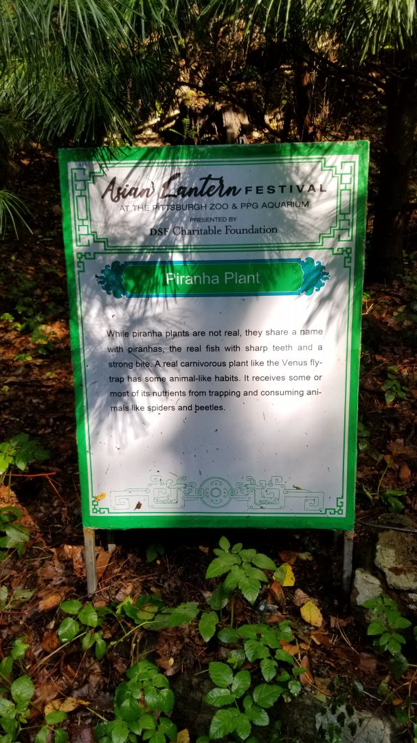 Pittsburgh 8/21 - Piranha plant sign