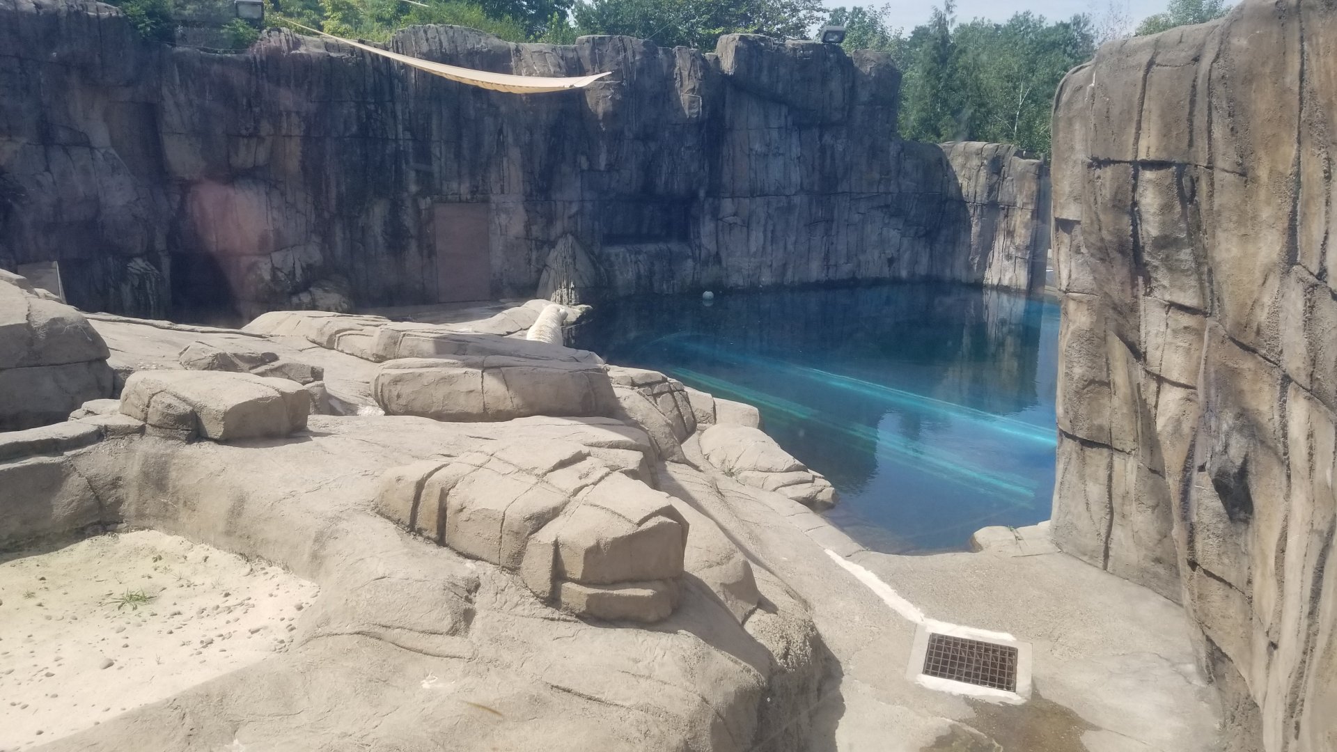 Pittsburgh 8/21 - Polar bear exhibit from top