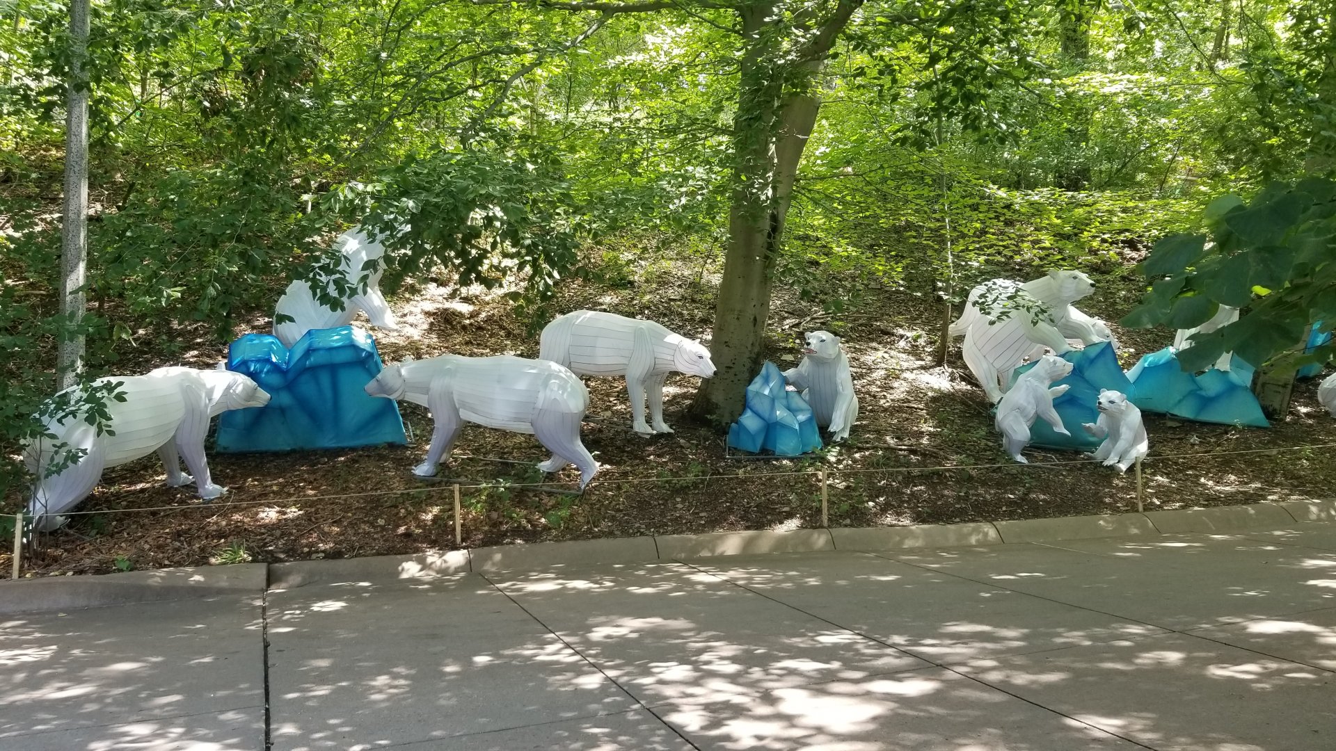 Pittsburgh 8/21 - Polar bears