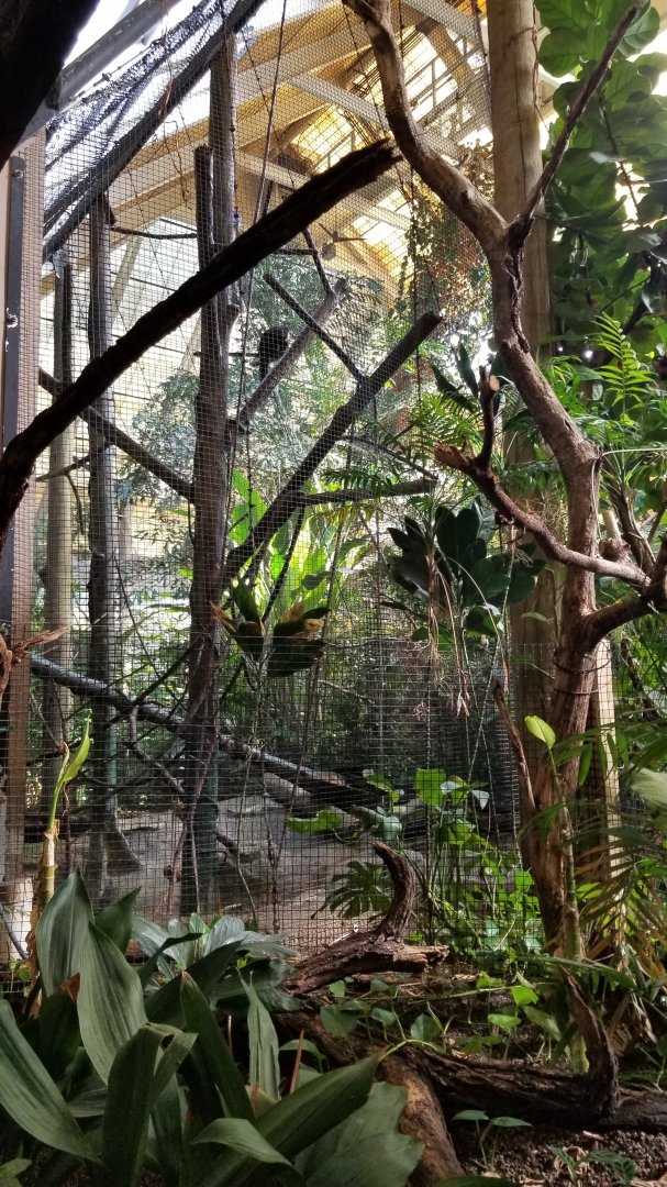 Pittsburgh 8/21 - Primates