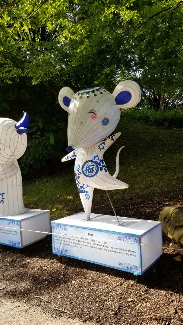 Pittsburgh 8/21 - Rat from zodiac