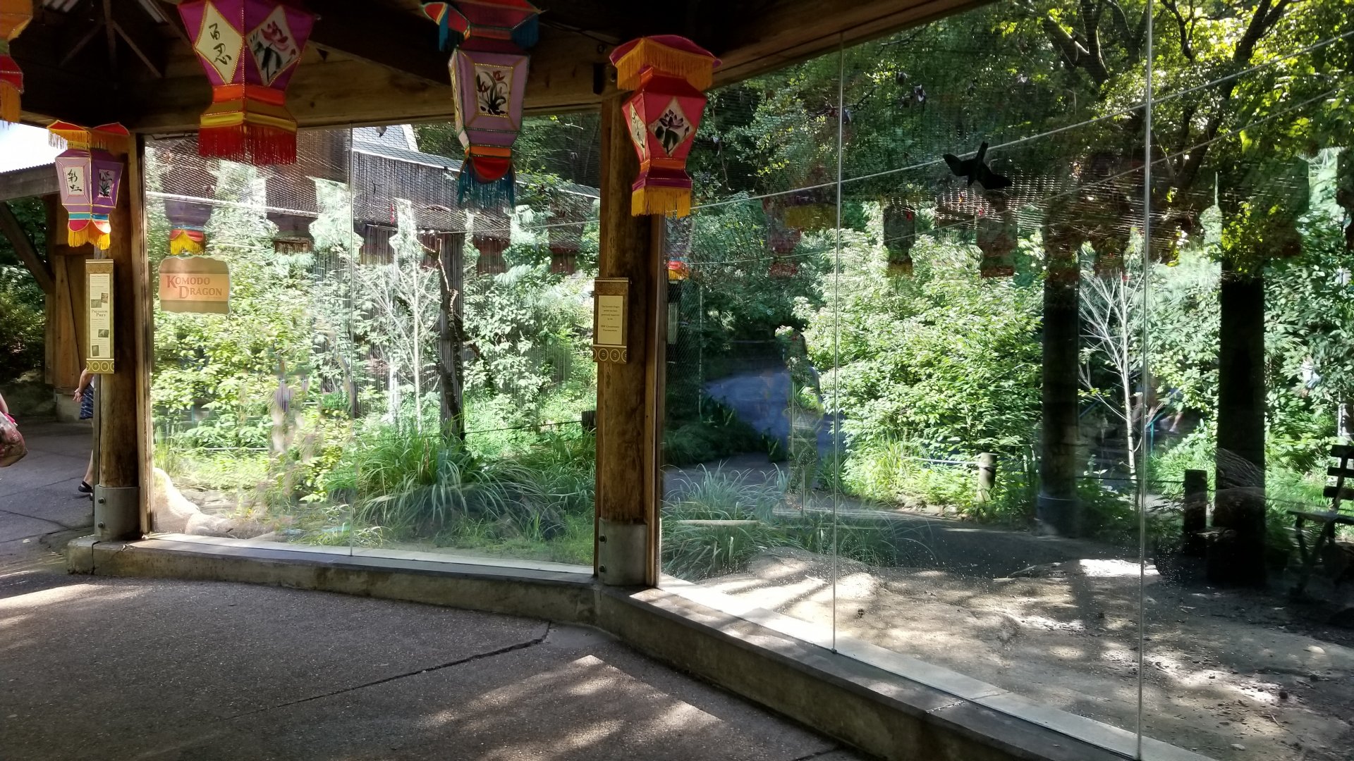 Pittsburgh 8/21 - Red panda