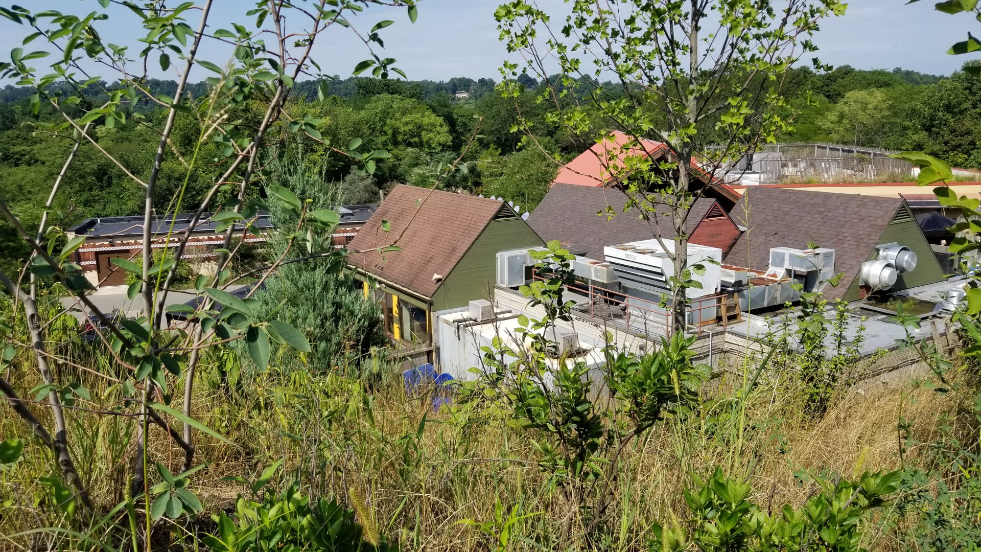 Pittsburgh 8/21 - Restaurant from above