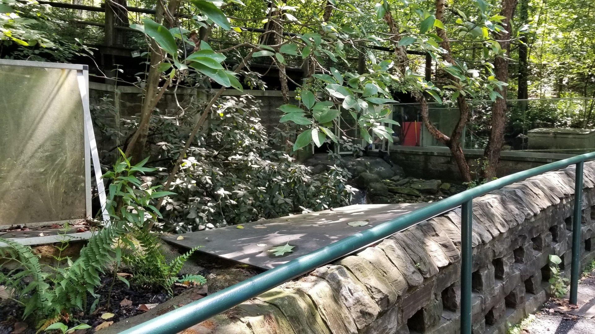Pittsburgh 8/21 - River otters