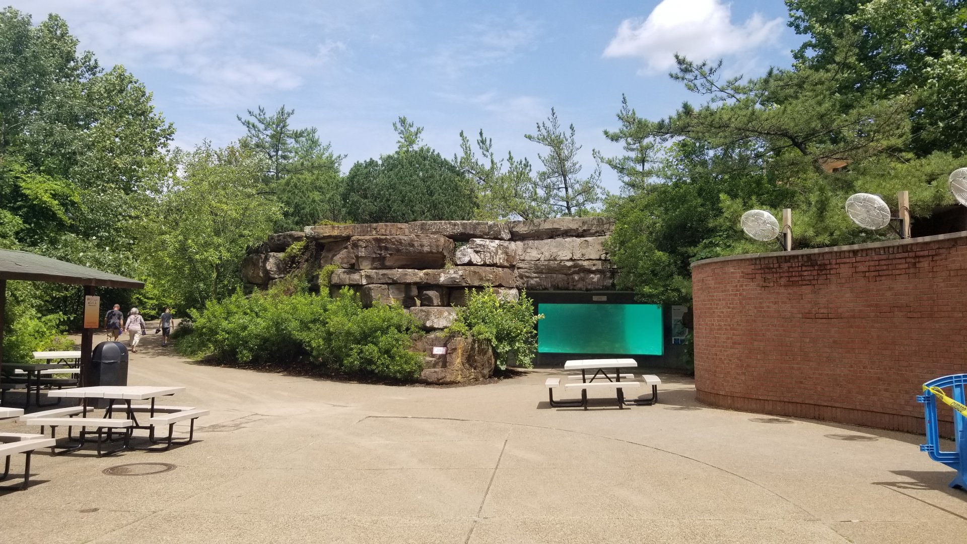Pittsburgh 8/21 - Sea lion underwater window