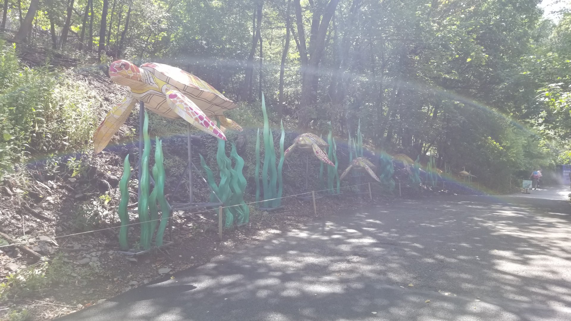 Pittsburgh 8/21 - Sea turtles