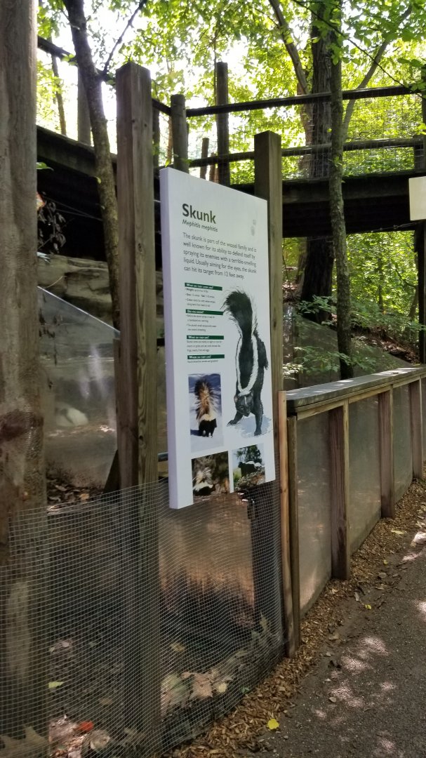 Pittsburgh 8/21 - Striped skunk sign and exhibit