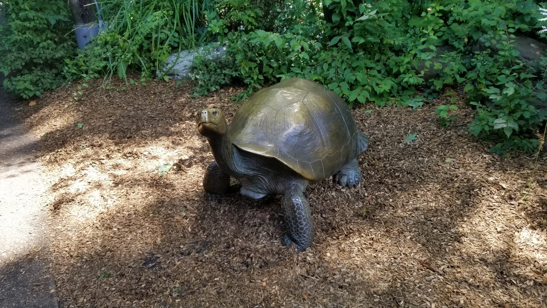 Pittsburgh 8/21 - Tortoise statue everyone has