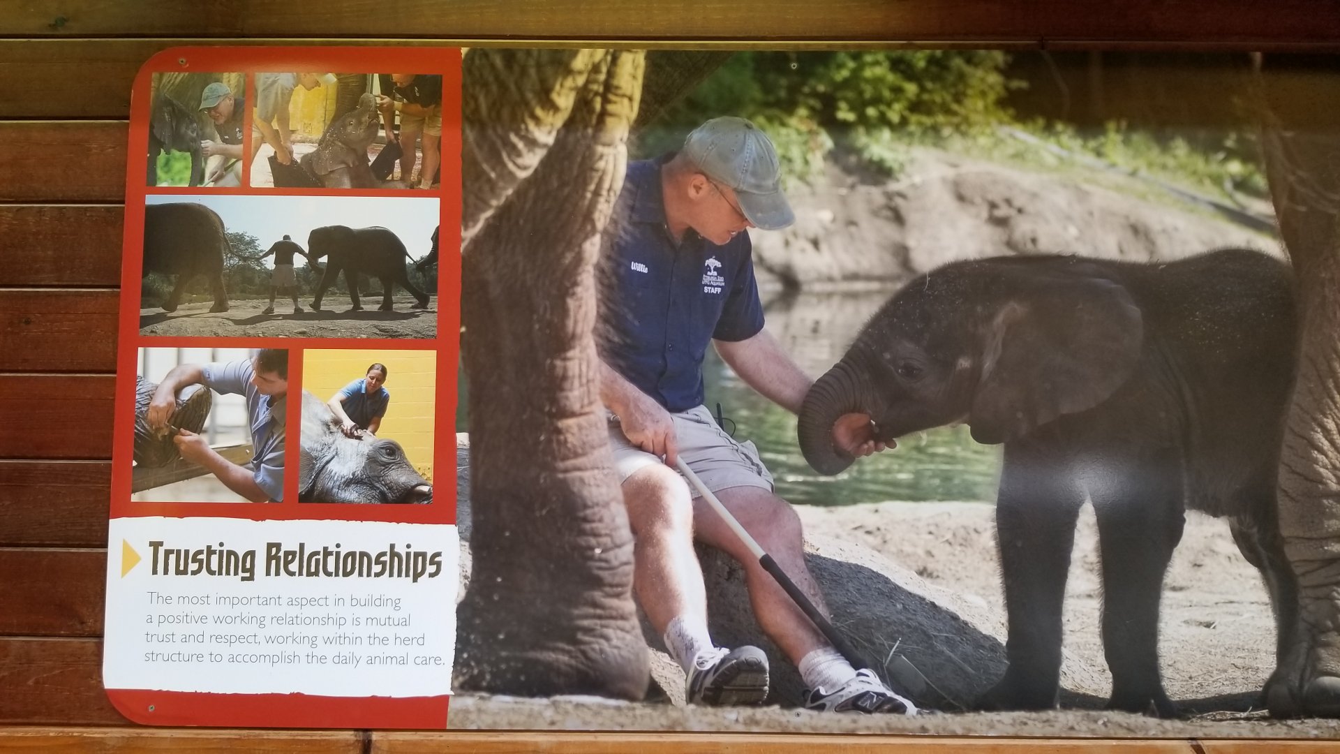 Pittsburgh 8/21 - "Trusting relationships" elephant sign