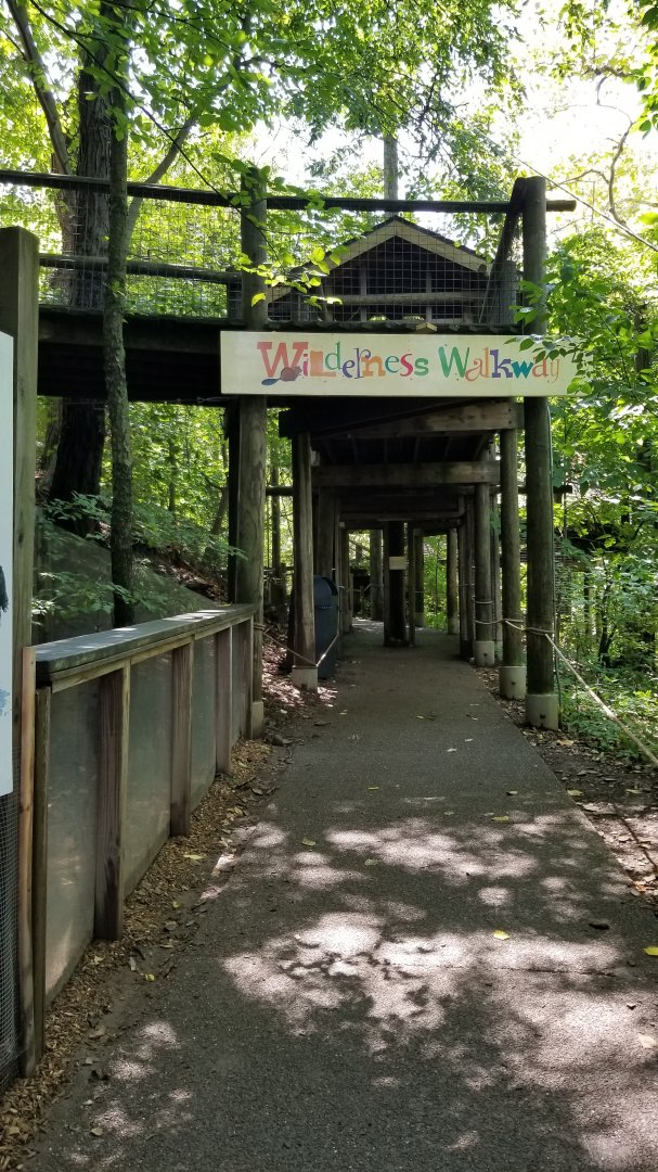 Pittsburgh 8/21 - Wilderness Walkway (North american animals)