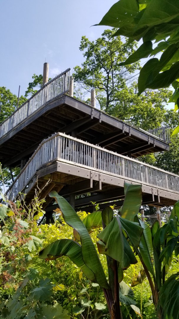 Pittsburgh 8/21 - Zip line start