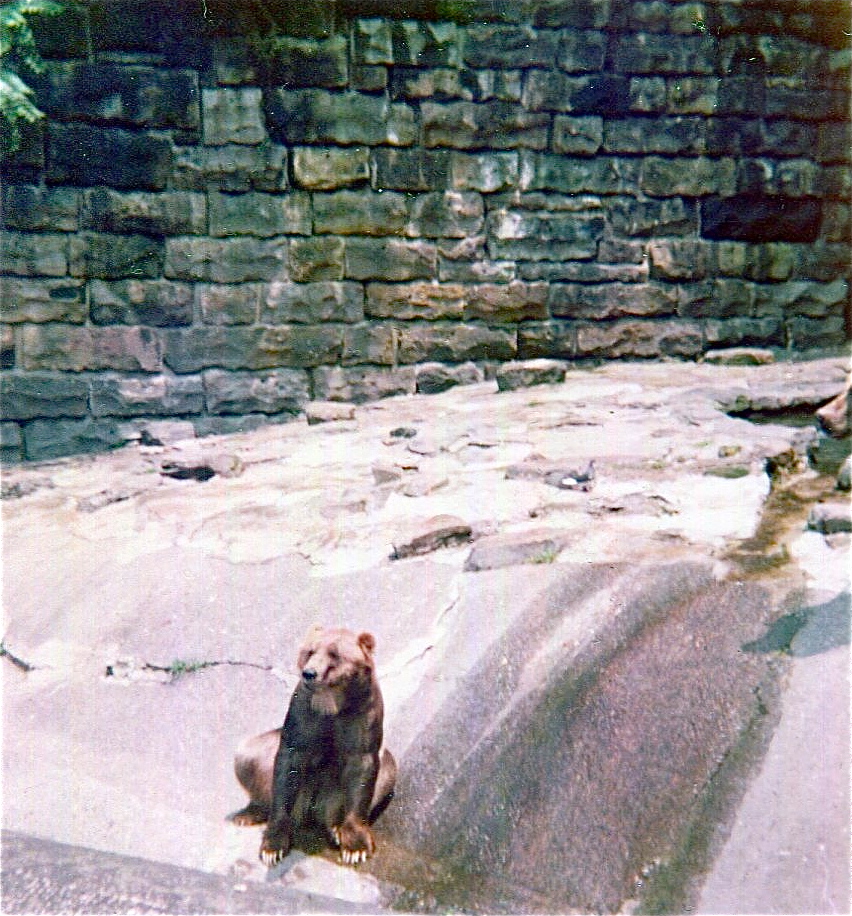 Pittsburgh zoo 1975/76
