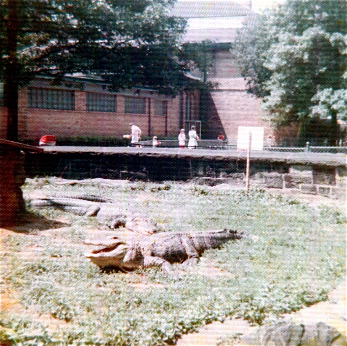 Pittsburgh zoo 1975/76