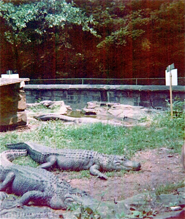 Pittsburgh zoo 1975/76
