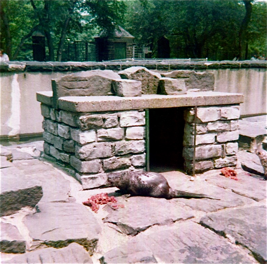 Pittsburgh zoo 1975/76