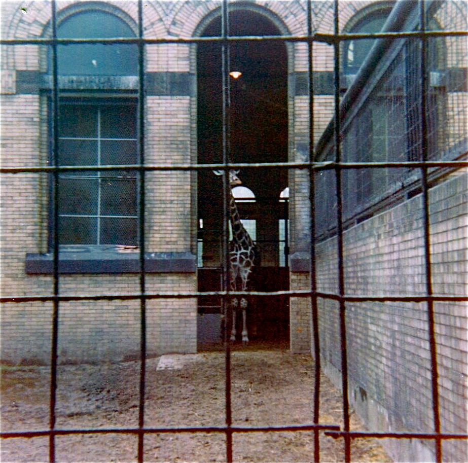 Pittsburgh zoo 1975/76