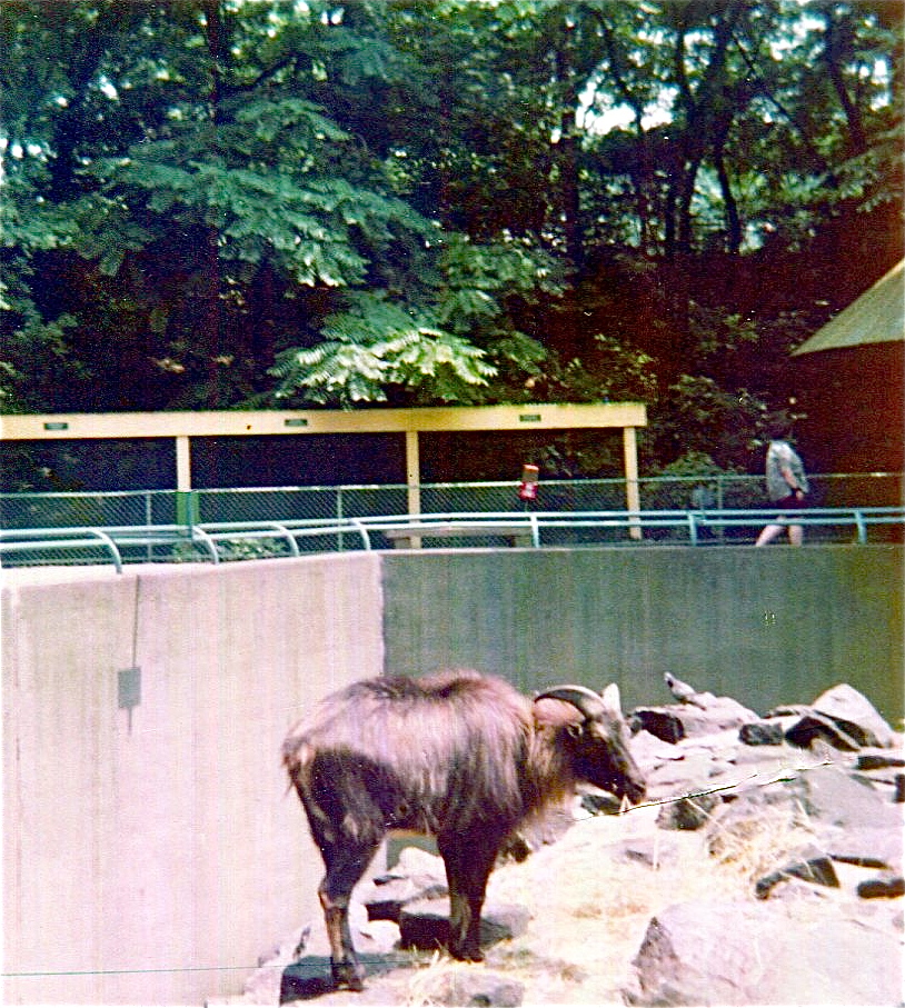 Pittsburgh zoo 1975/76