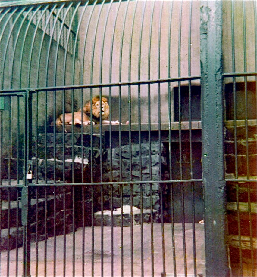 Pittsburgh zoo 1975/76