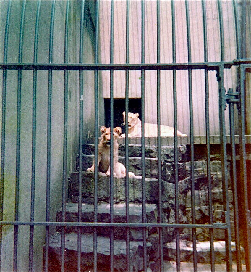 Pittsburgh zoo 1975/76