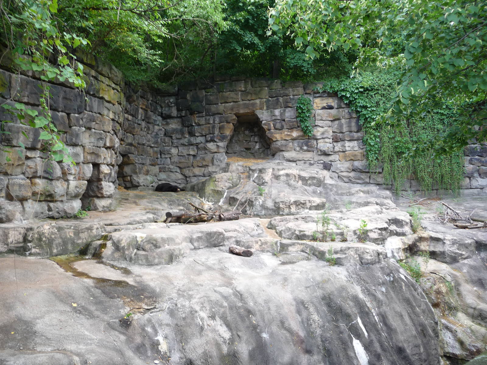 Pittsburgh Zoo - American black bear grotto