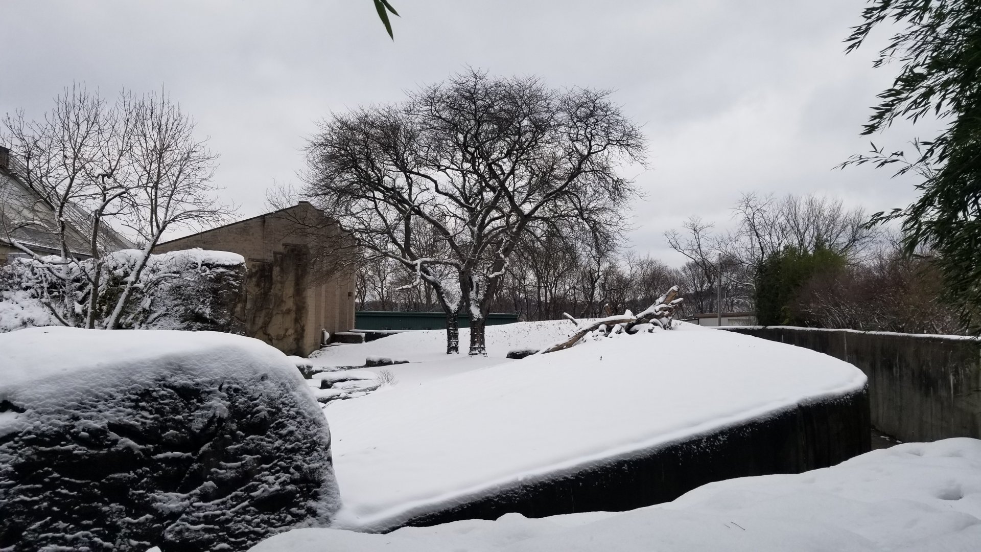 Pittsburgh Zoo - Back of gorilla outdoor area