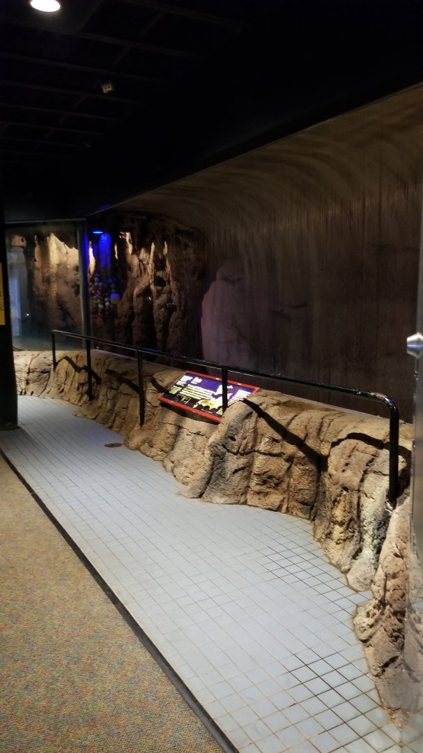 Pittsburgh Zoo - Bats