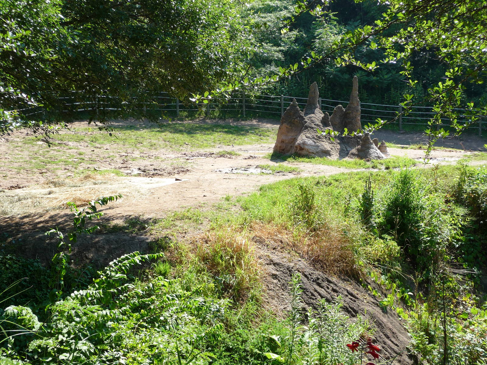 Pittsburgh Zoo - Black rhino paddock