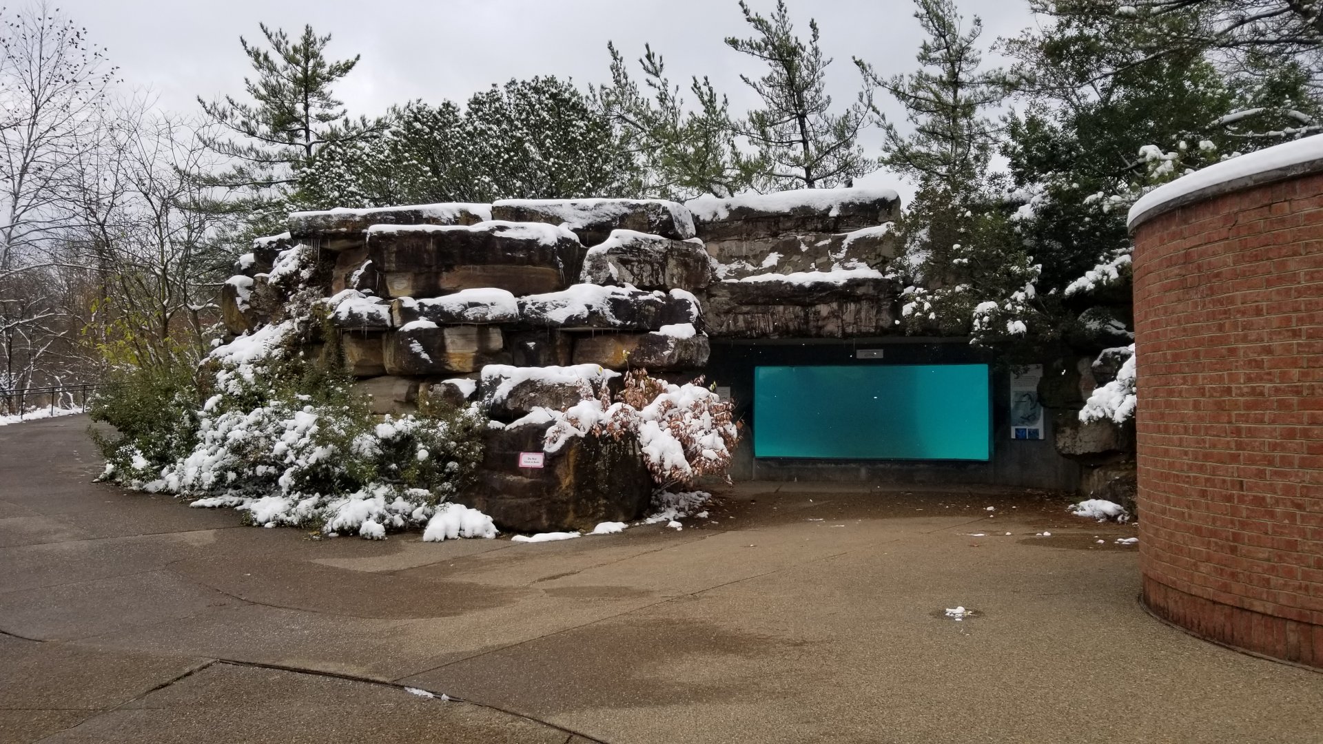 Pittsburgh Zoo - CA sea lion underwater window