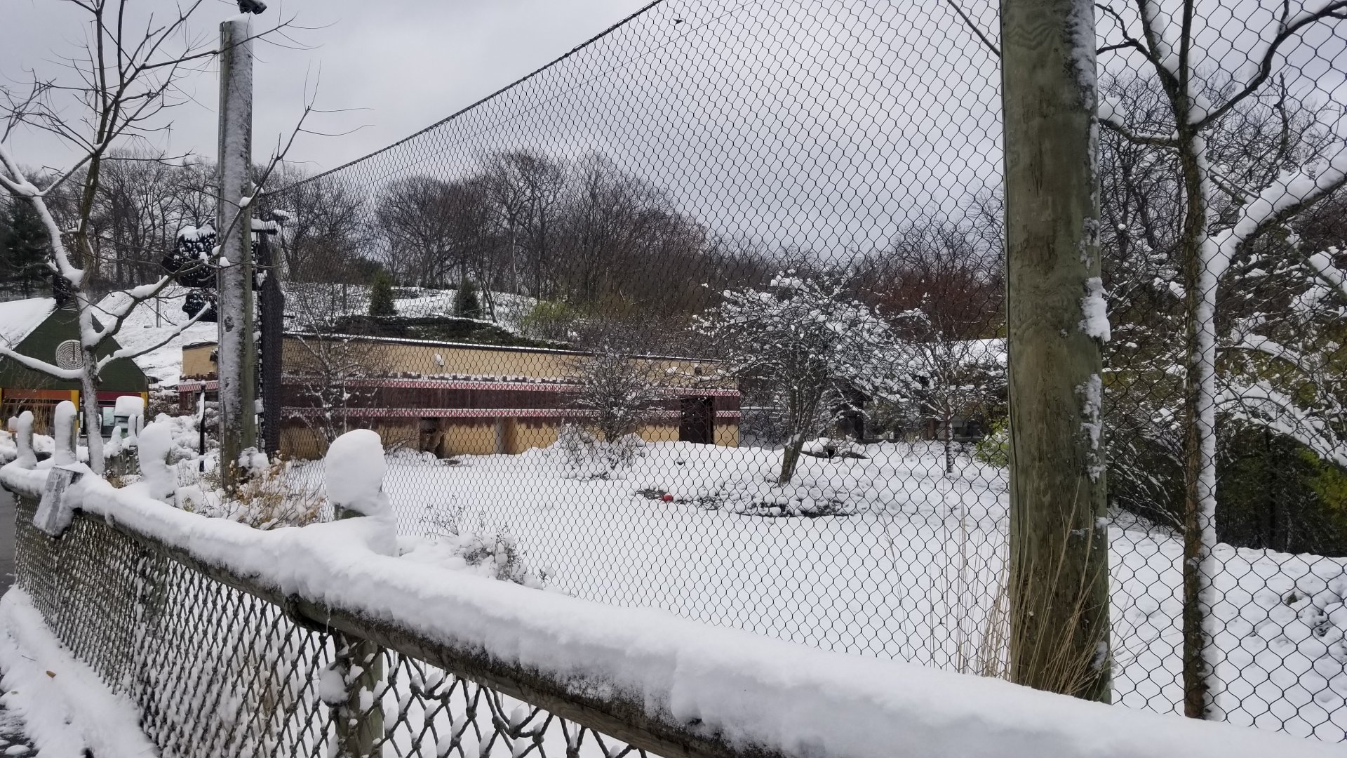 Pittsburgh Zoo - Cheetah yard