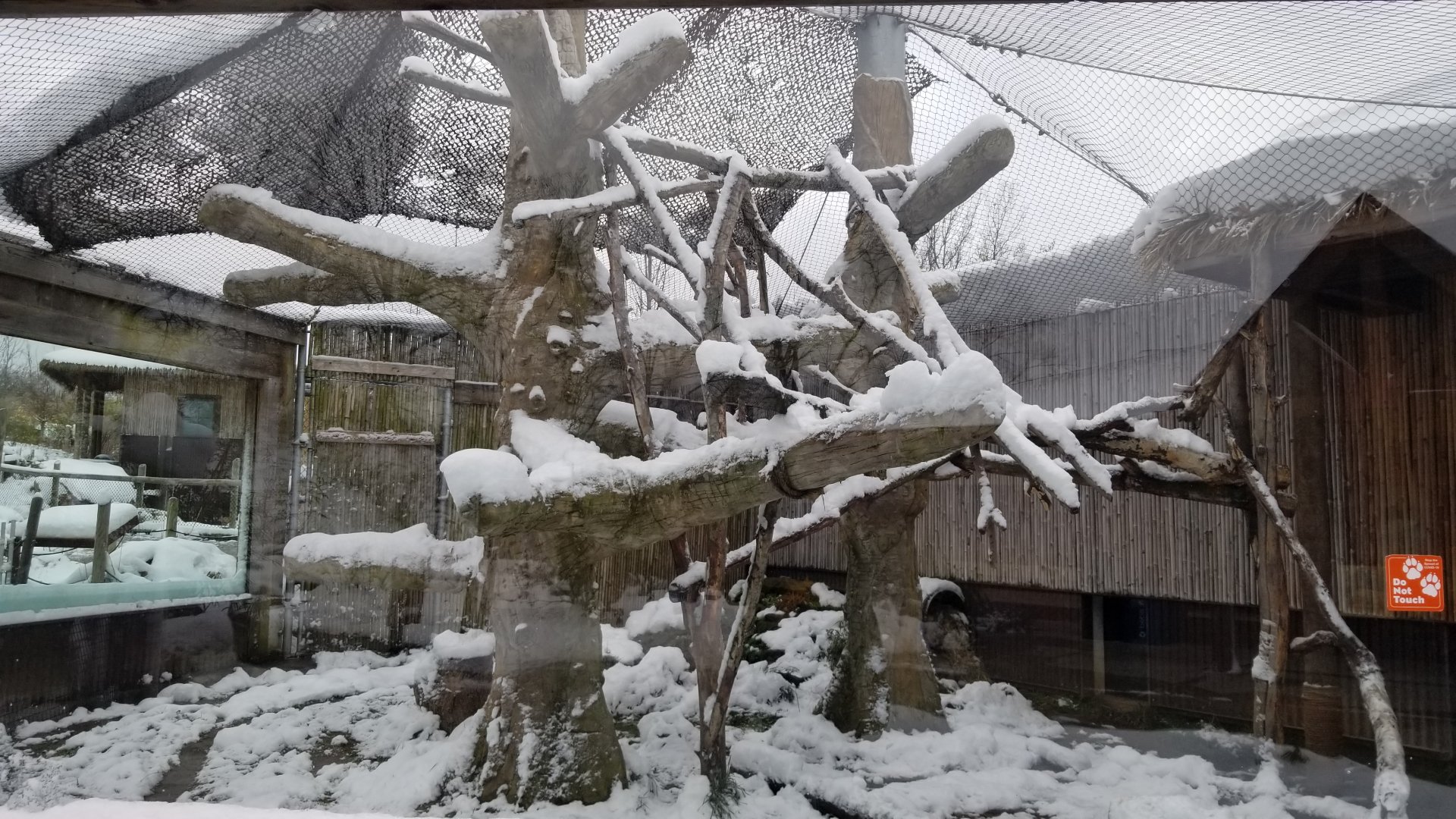 Pittsburgh Zoo - Clouded leopard outdoor area