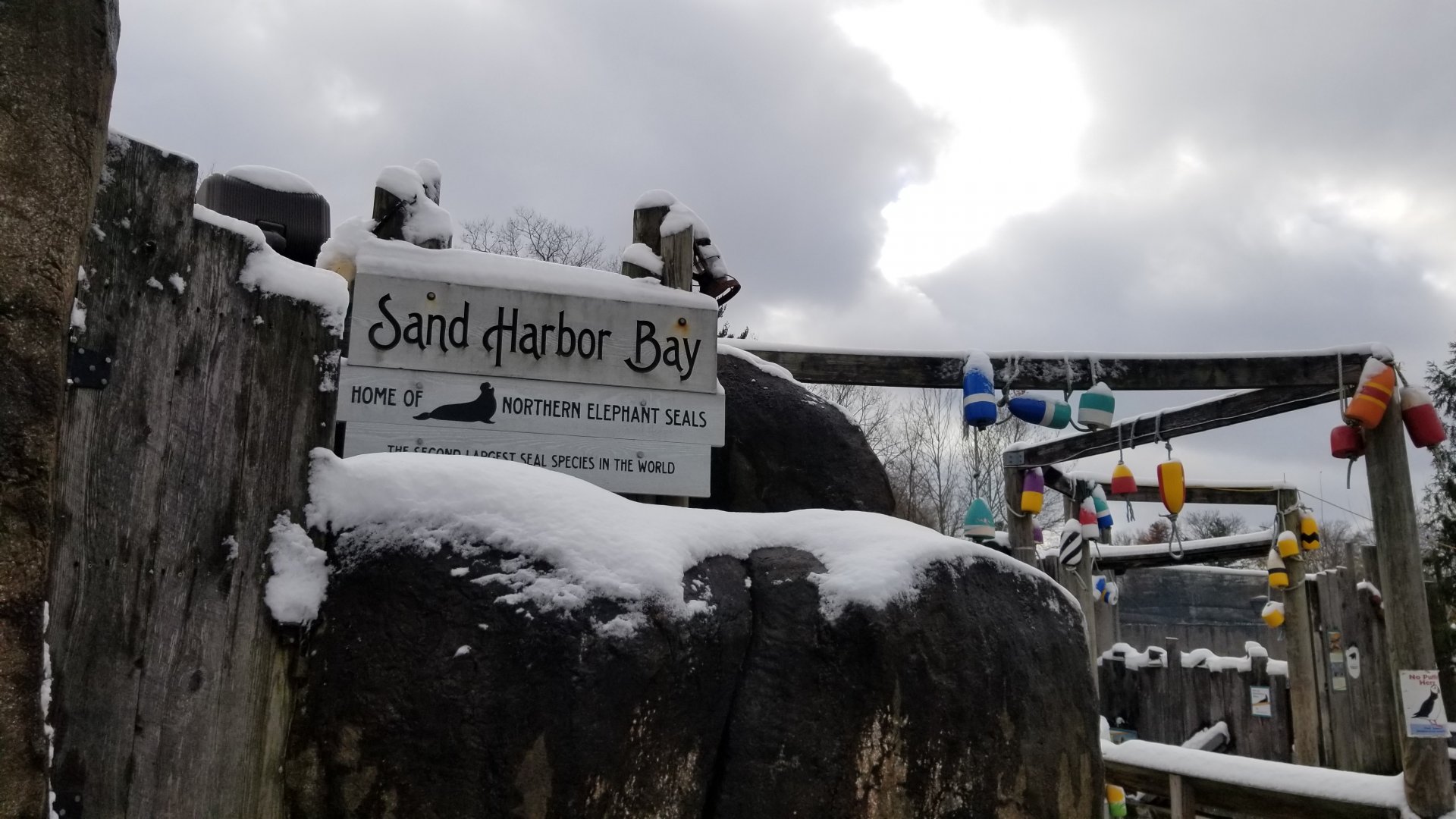 Pittsburgh Zoo - Elephant seal area
