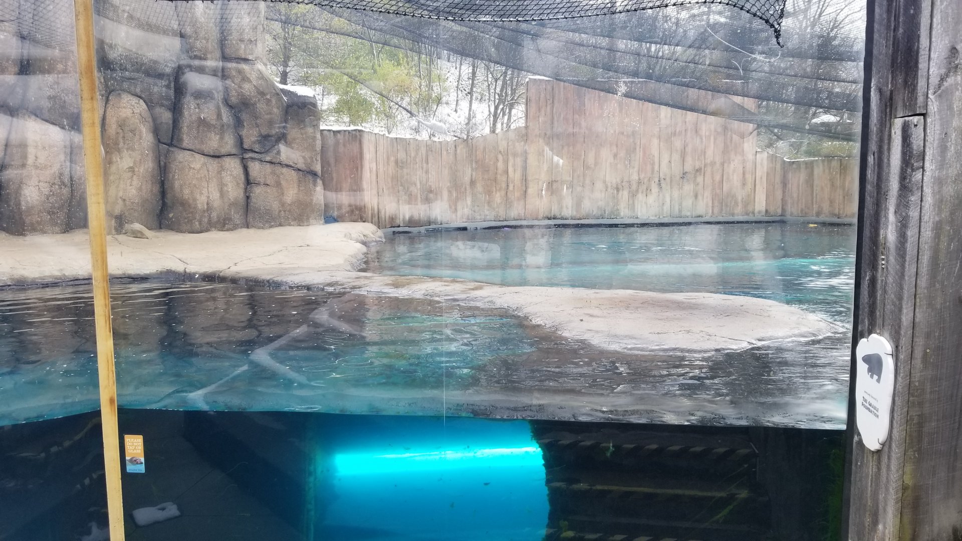 Pittsburgh Zoo - Elephant seal exhibit
