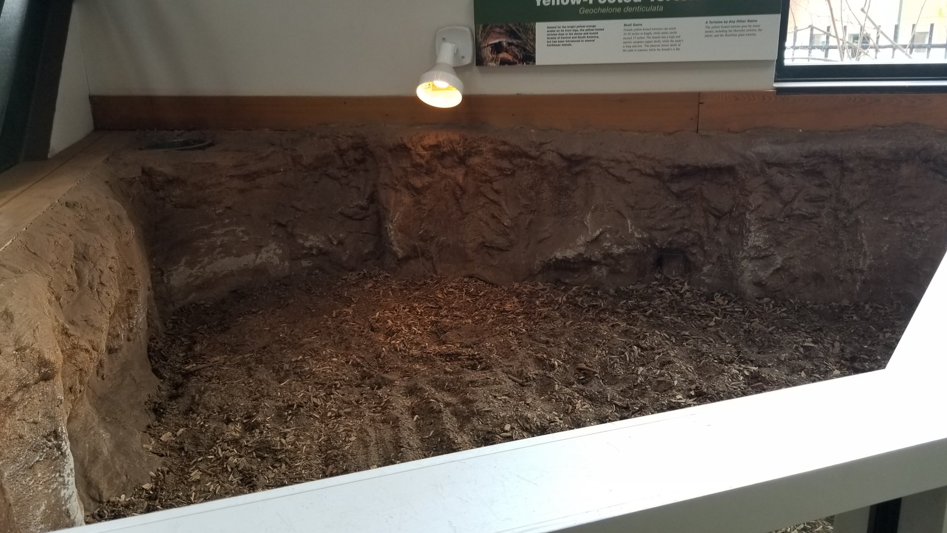 Pittsburgh Zoo - Empty yellow-footed tortoise area