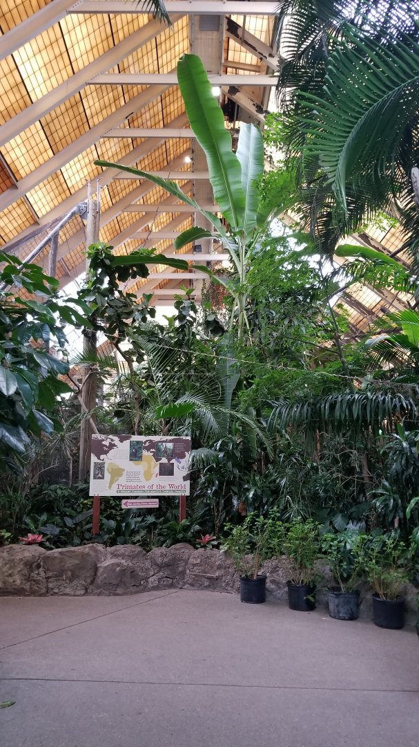 Pittsburgh Zoo - First view inside primate building