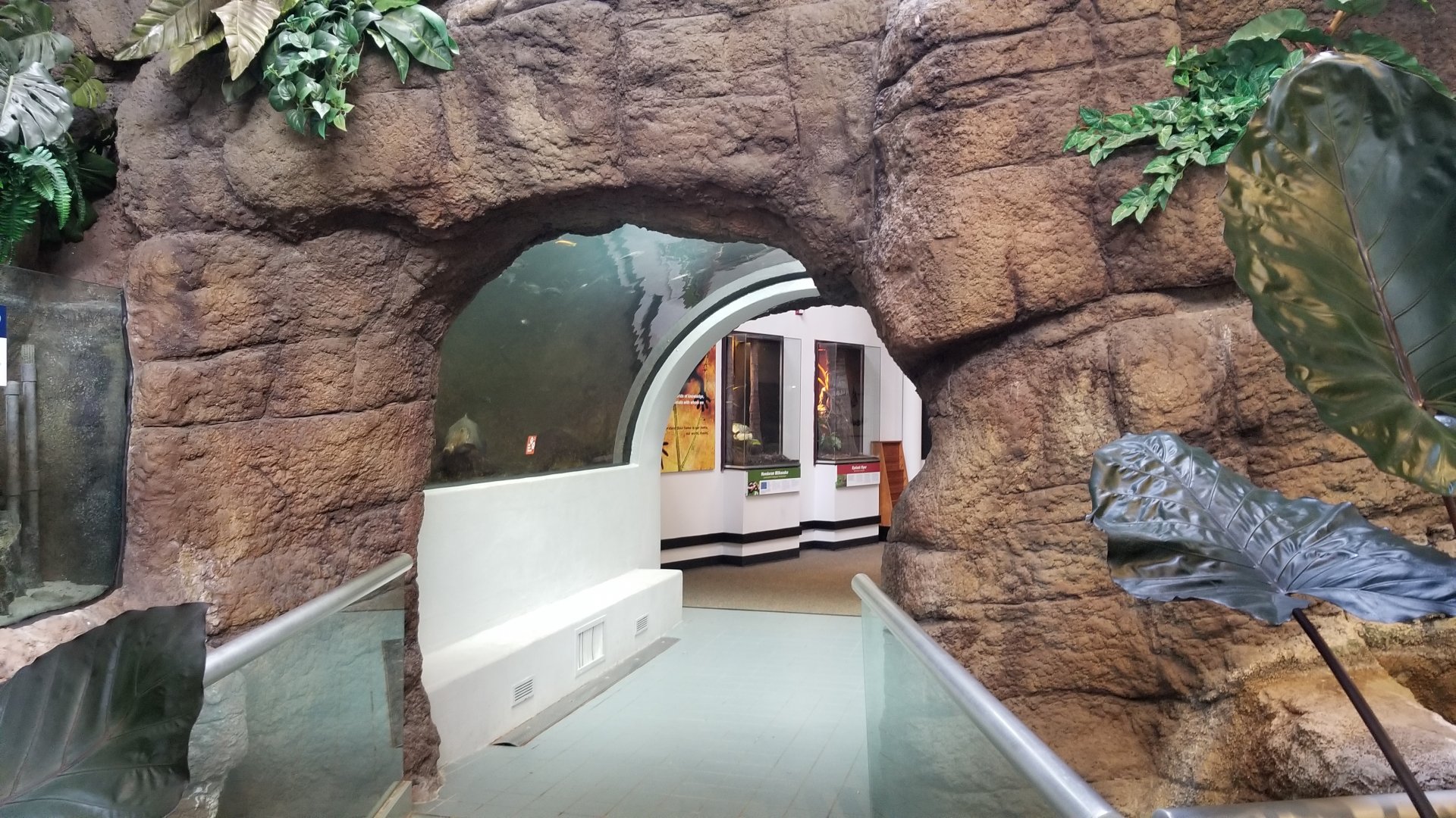 Pittsburgh Zoo - Fish tunnel in entrance to Worlds of Discovery