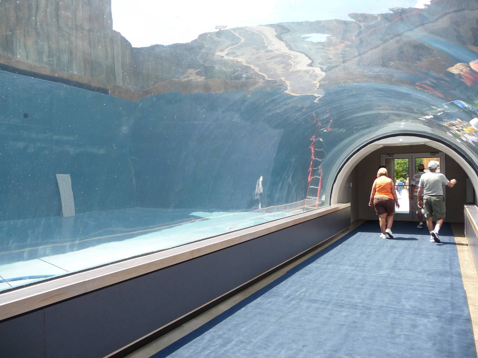 Pittsburgh Zoo - Future Walrus Exhibit