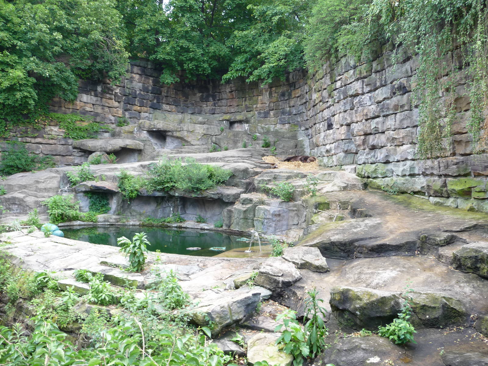 Pittsburgh Zoo - Grizzly Bear Grotto