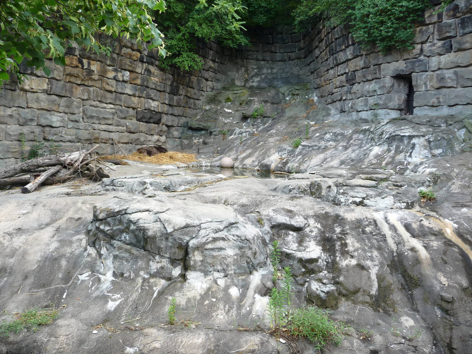 Pittsburgh Zoo - Grizzly bear grotto