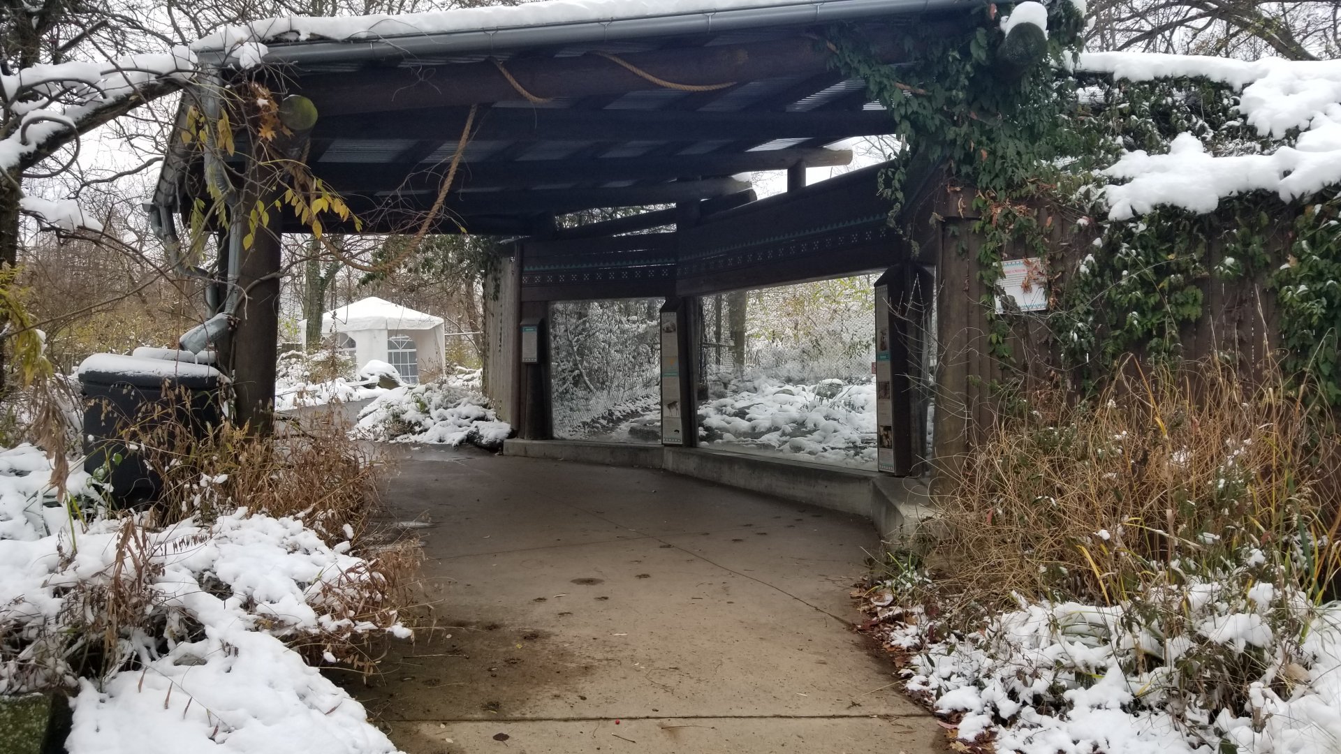 Pittsburgh Zoo - Leopard
