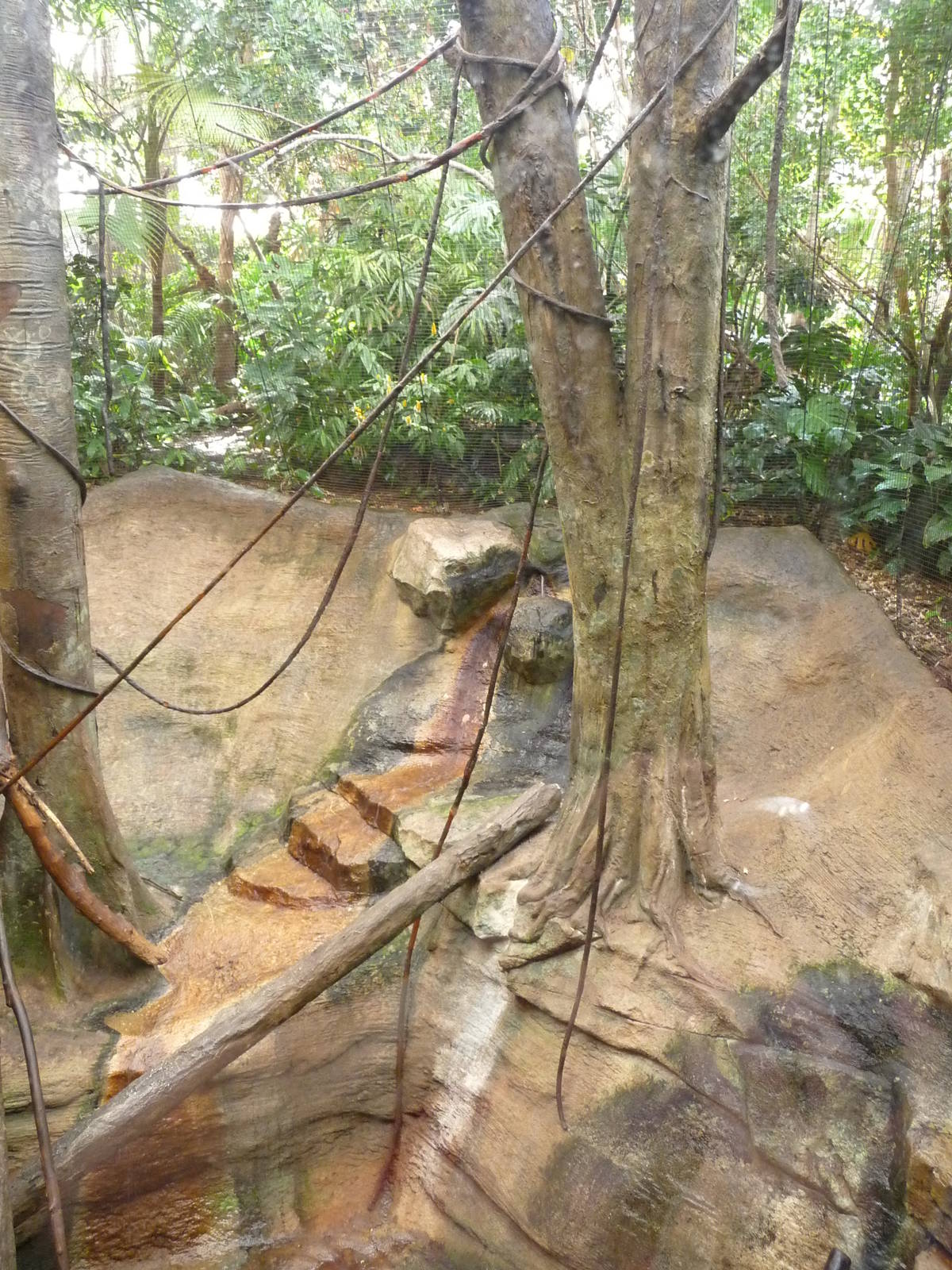 Pittsburgh Zoo - Mandrill Exhibit