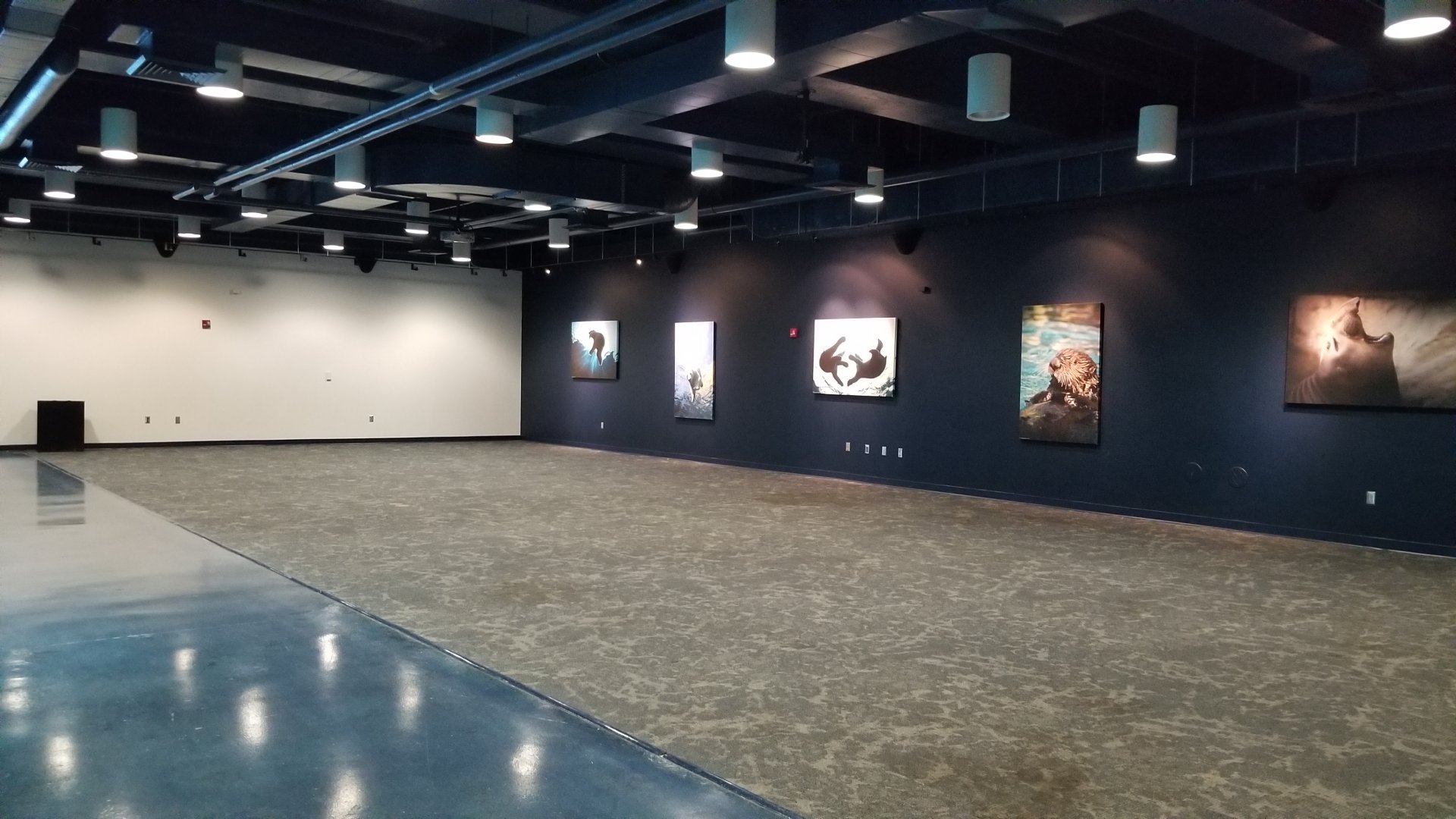 Pittsburgh Zoo - Odd area next to sea otter viewing