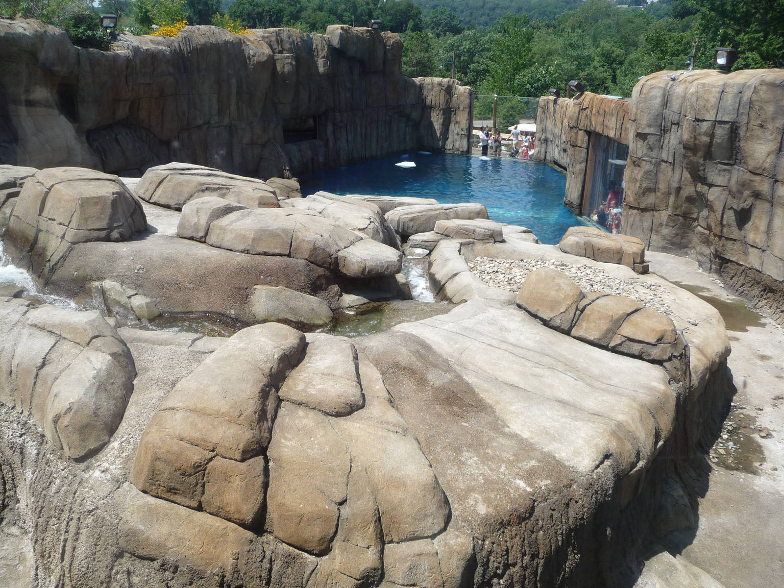 Pittsburgh Zoo - Polar Bear Exhibit