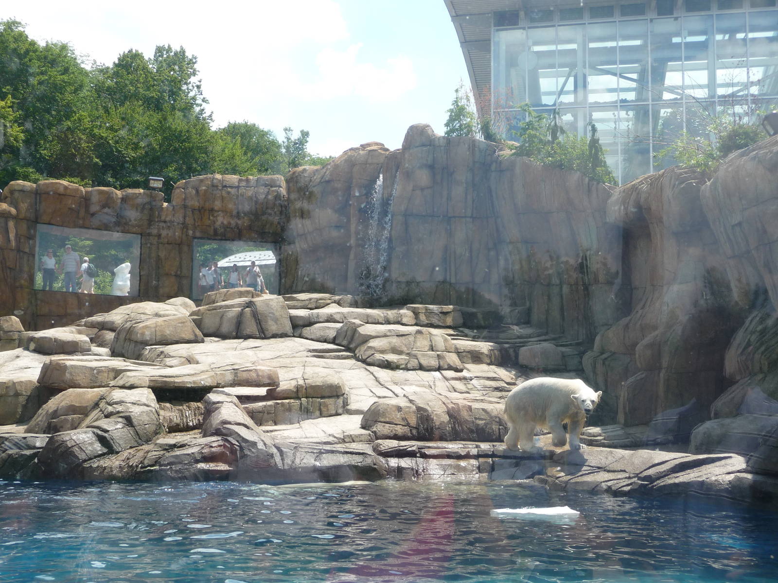 Pittsburgh Zoo - Polar Bear Exhibit