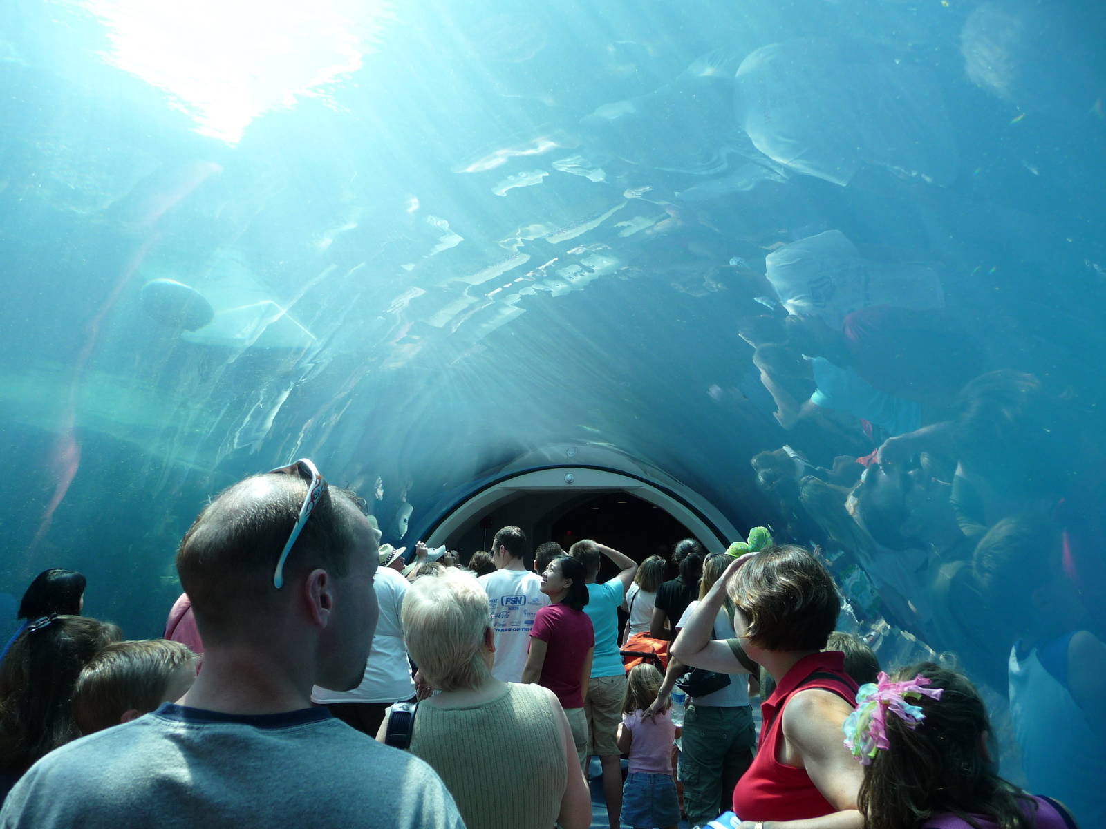 Pittsburgh Zoo - Polar Bear Tunnel
