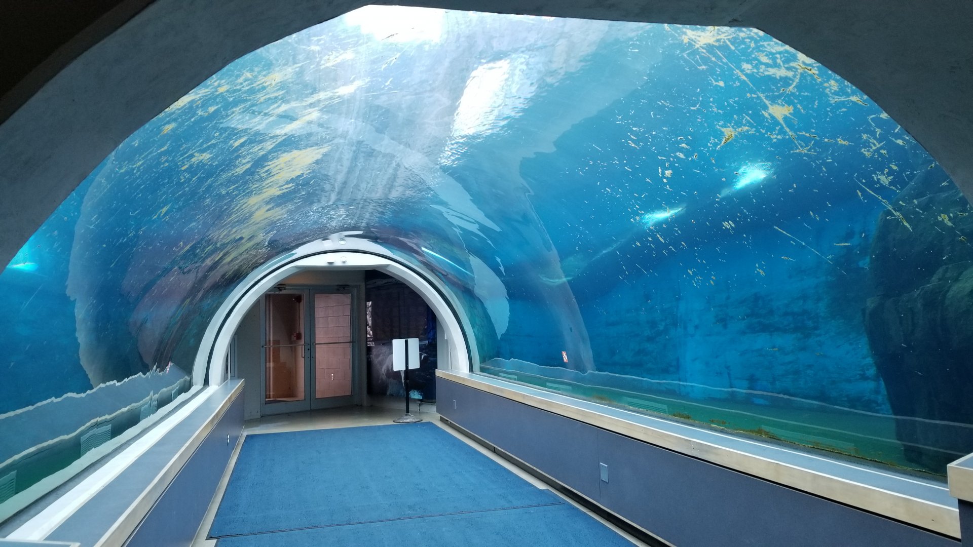 Pittsburgh Zoo - Polar bear tunnel