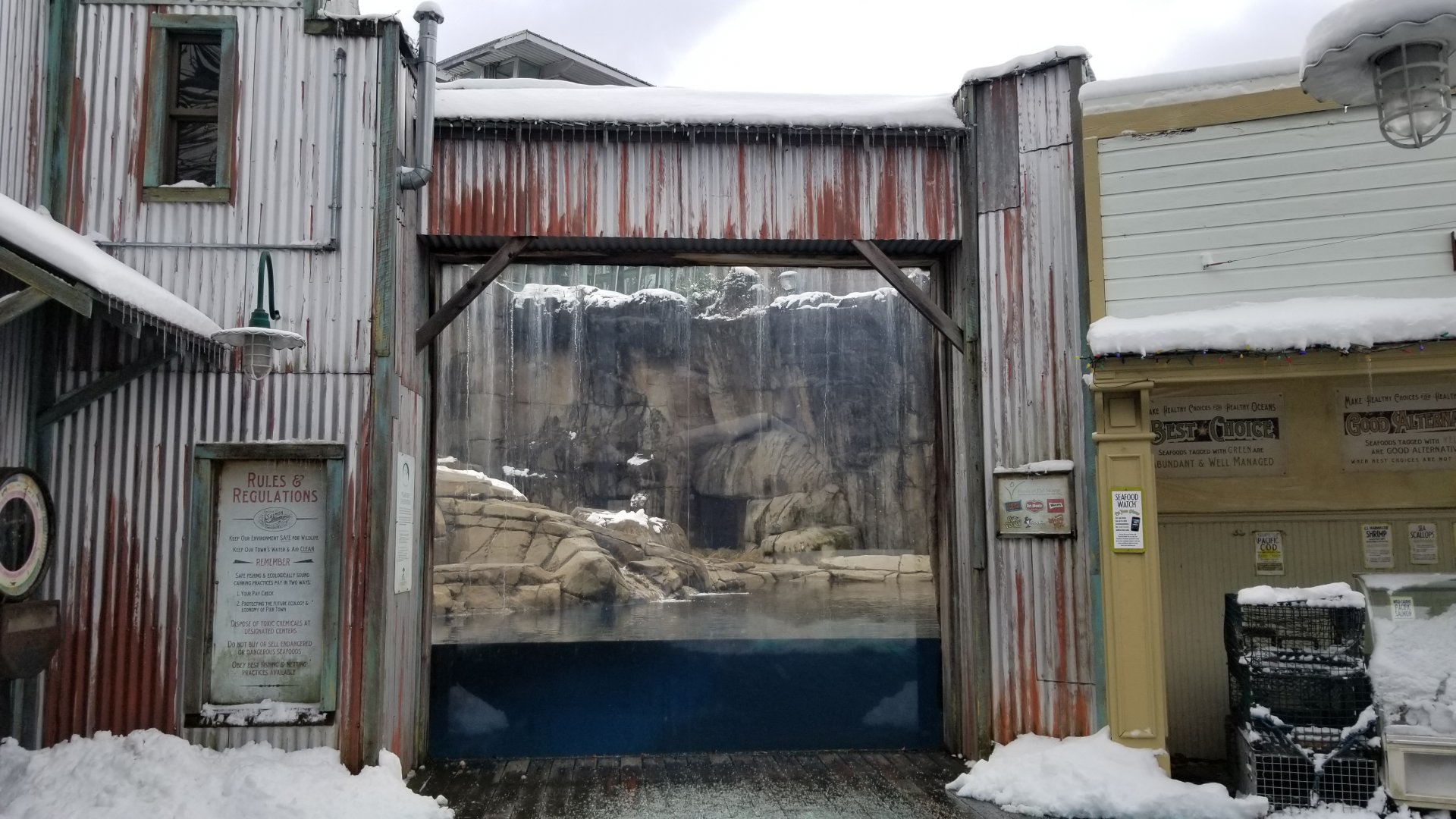 Pittsburgh Zoo - Polar bear window