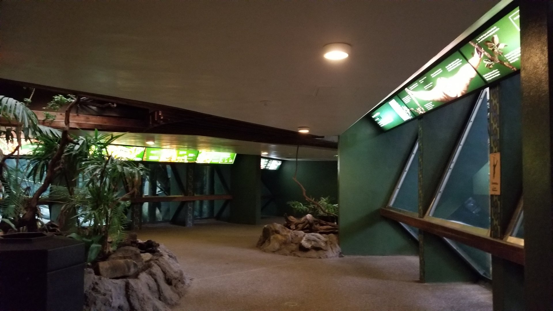 Pittsburgh Zoo - Primate exhibits